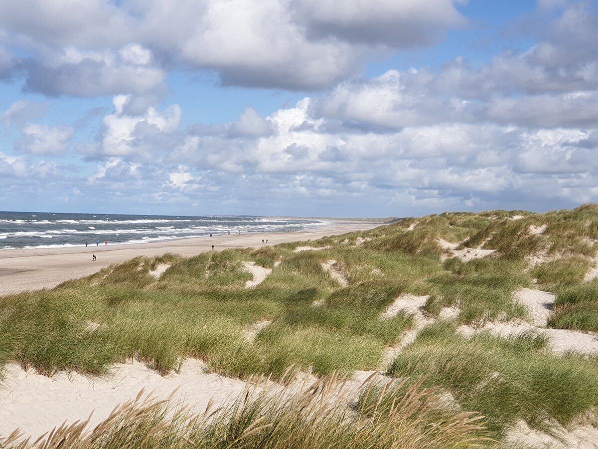 Ferienhausreinigung in Henne Strand, Lønne & Hauvrig