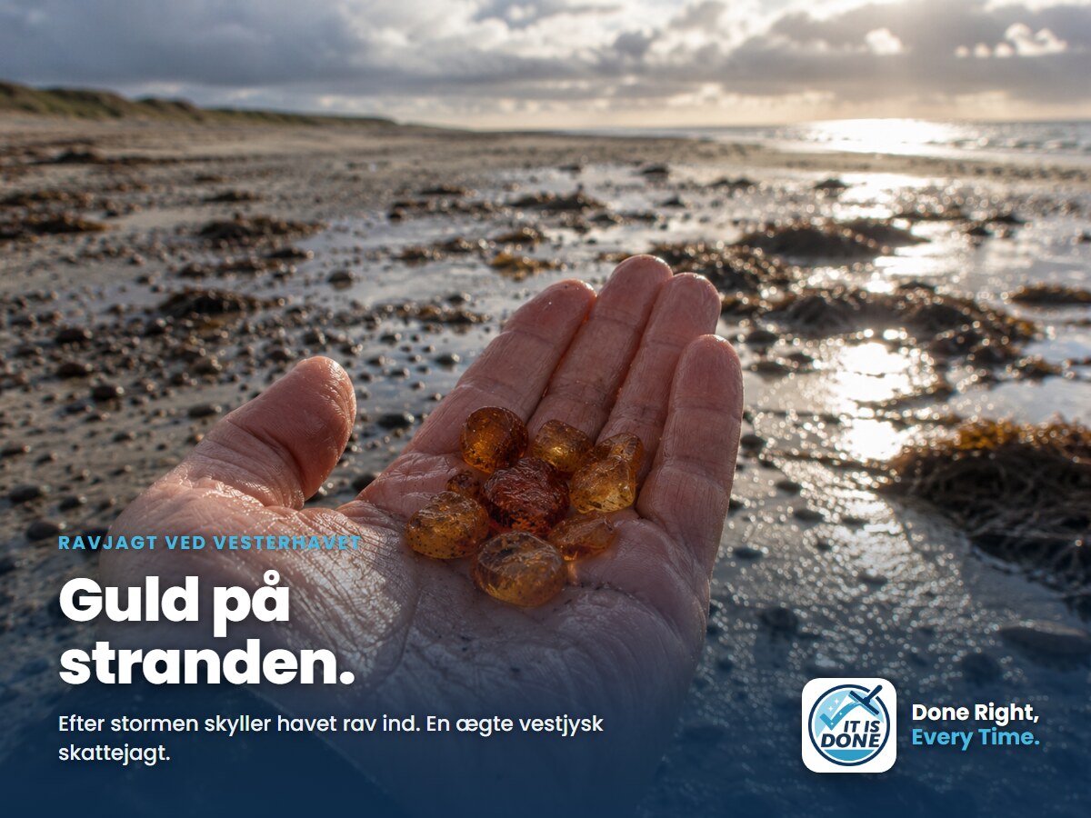 Ravjagt ved Vesterhavet: guld på stranden efter efterårsstormen