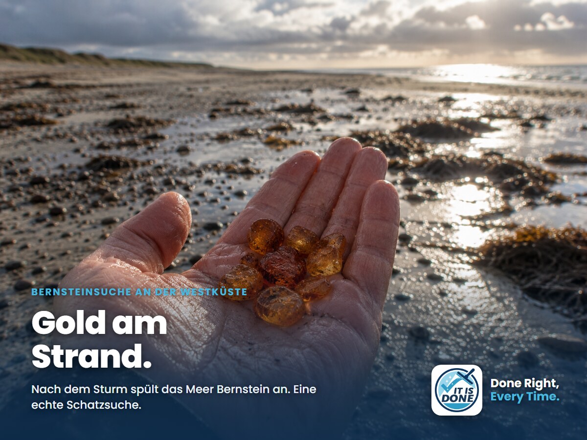 Bernsteinsuche an der Westküste: Gold am Strand nach dem Herbststurm
