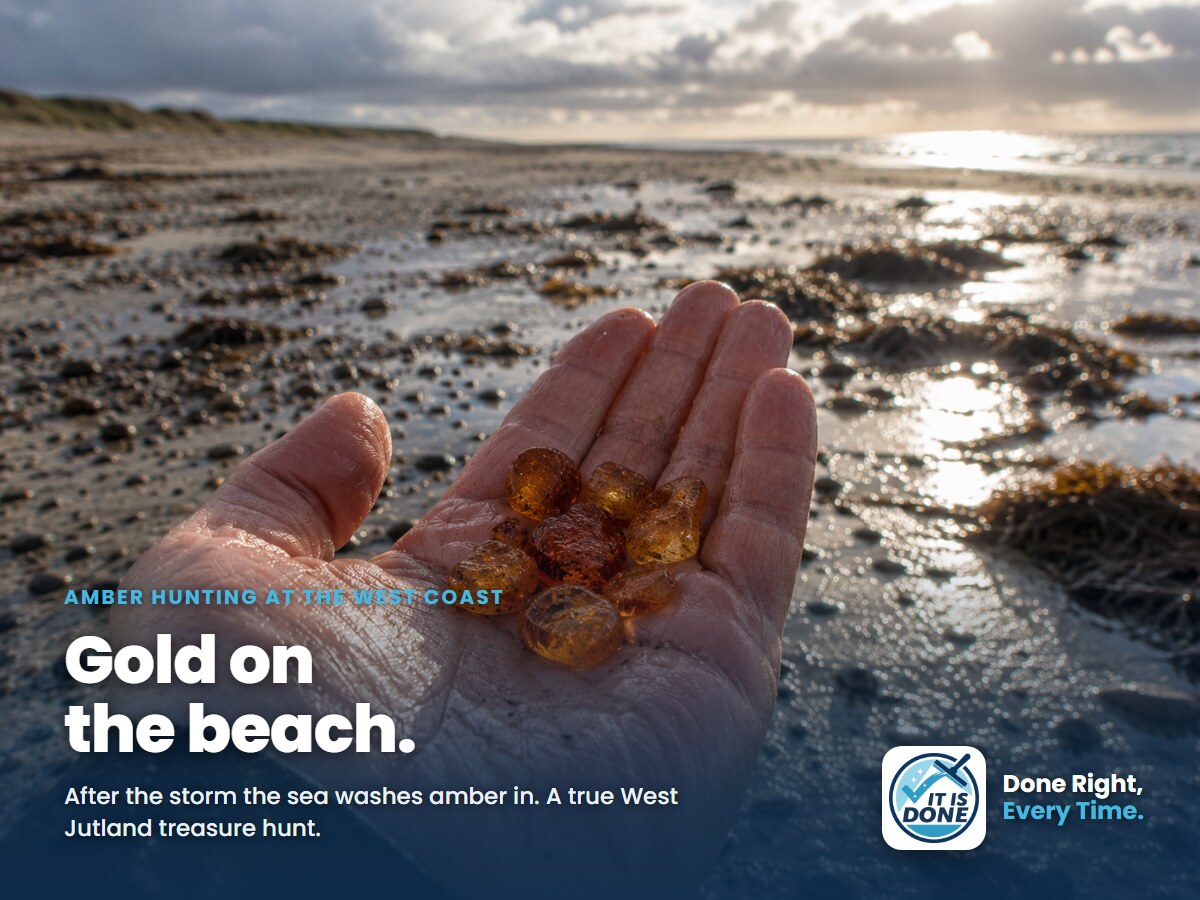 Amber hunting at the West Coast: gold on the beach after the autumn storm