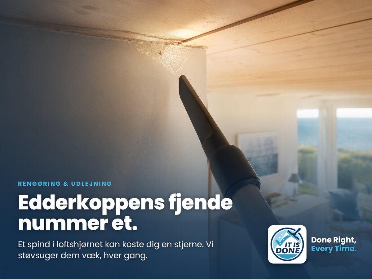 Edderkoppers fjende nummer et: sådan holder du dem væk fra sommerhuset