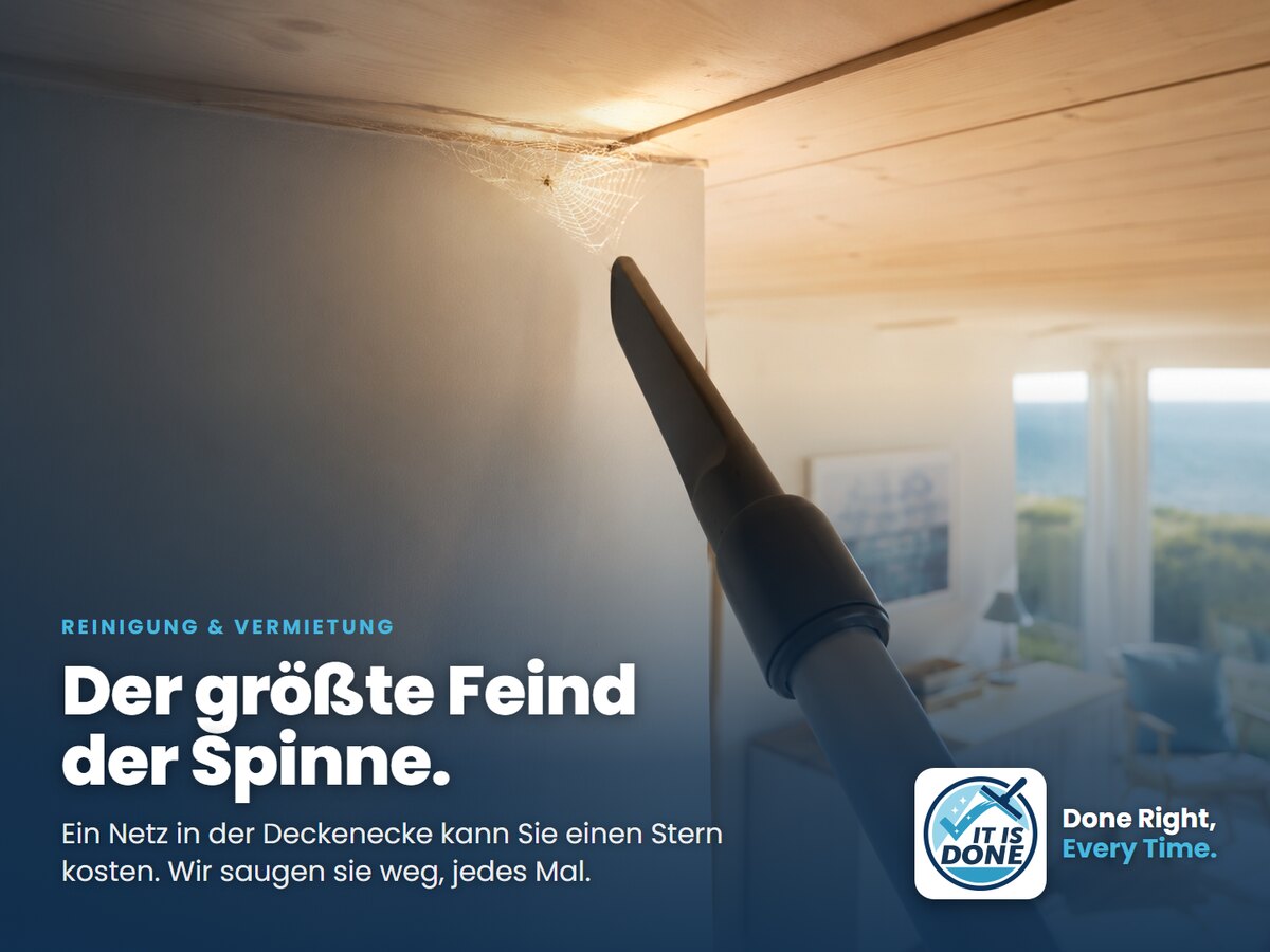 Der größte Feind der Spinne: so halten Sie sie aus dem Ferienhaus fern