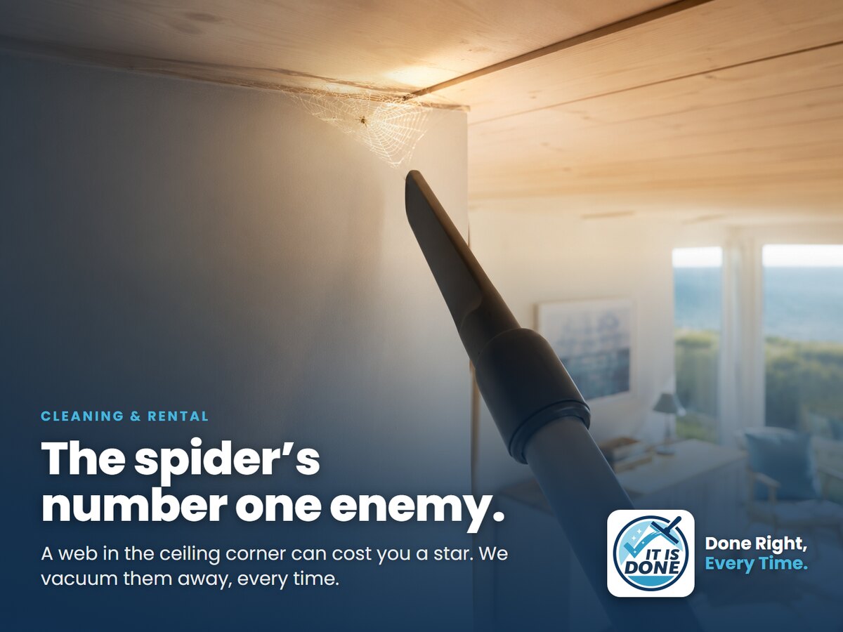 The spider's number one enemy: how to keep them out of the holiday home